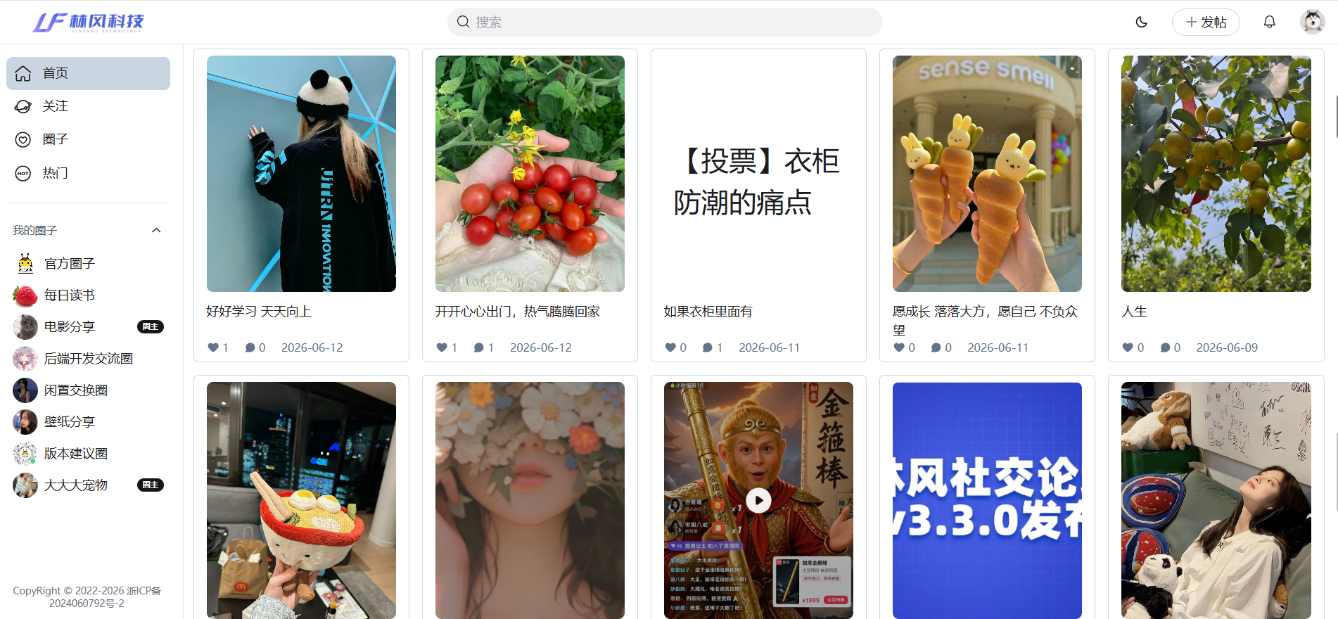 林风社交论坛PC网页端首页效果
